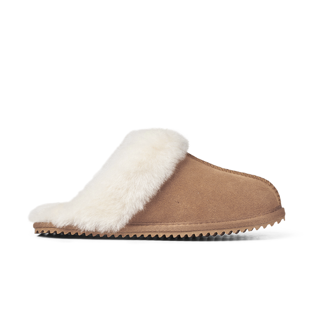 Indoor Shoes