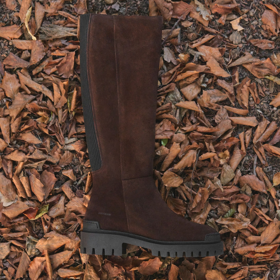 Long Shafted boot