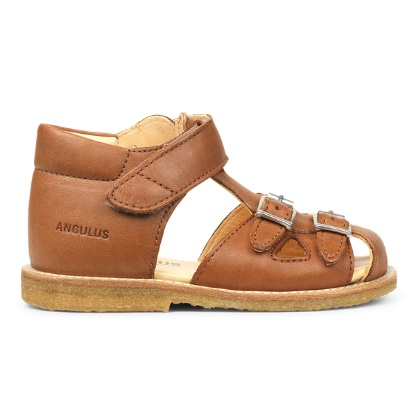 Specificitet legetøj Afslut ANGULUS 5213-101 Starter sandal with velcro and buckles - BROWN – ANGULUS  COM