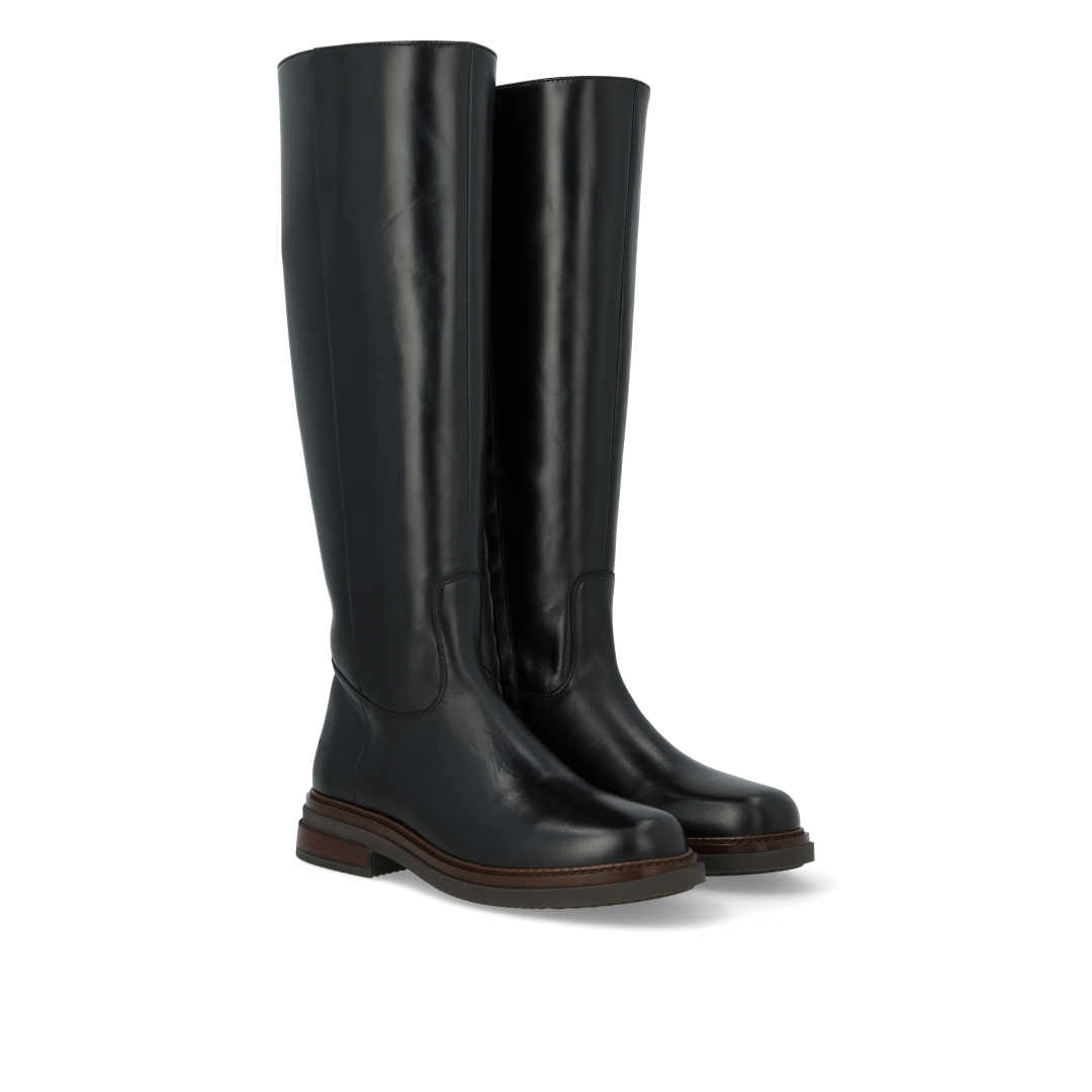 Long shafted boot