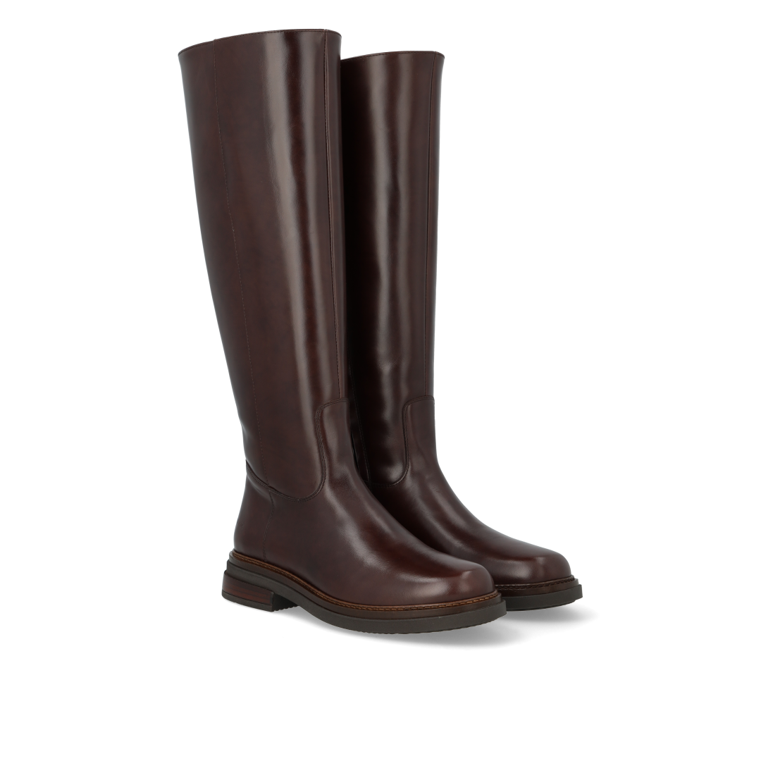 Long shafted boot